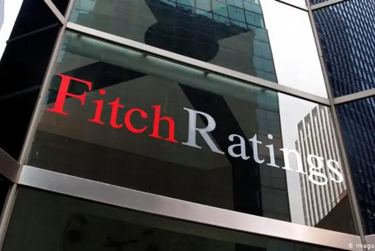 Fitch Rating